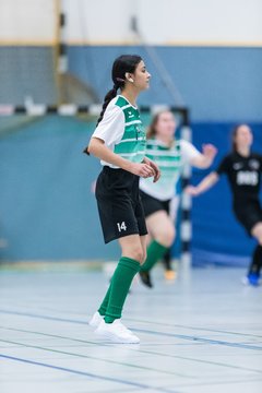 Bild 254 - F Loewinnen Hallen Cup